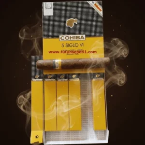 Cohiba Aniversario 5 Siglo – 5’s Gift Pack DOMİNİC