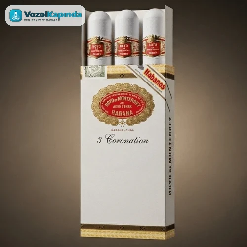 Hoyo de Monterrey Puro