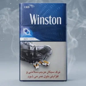 Winston Expand Duo Sigara – Mentol ve Böğürtlen – DUBAI
