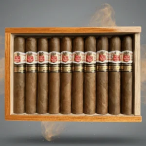 Hoyo de MonterreyLe Monterreyes No. 4 Puro 10’s FREESHOP