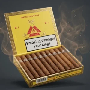 Montecristo No. 4 10’s Puro FREESHOP