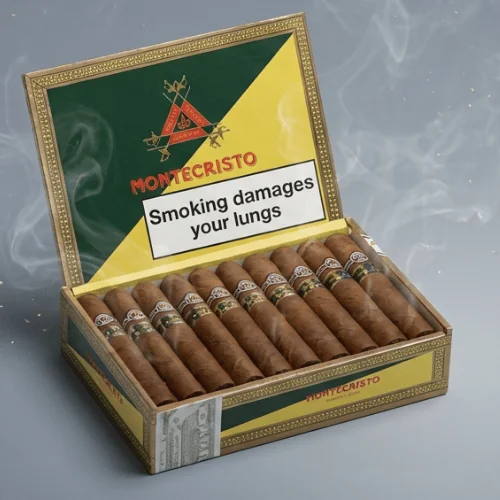 Montecristo Open Master Puro 20’s Tubo FREESHOP