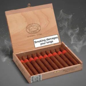 Partagas Serie P No.2 25’s FREESHOP