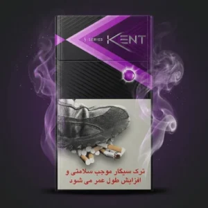 Kent S Slim Purple Sigara Dubai – Böğürtlen