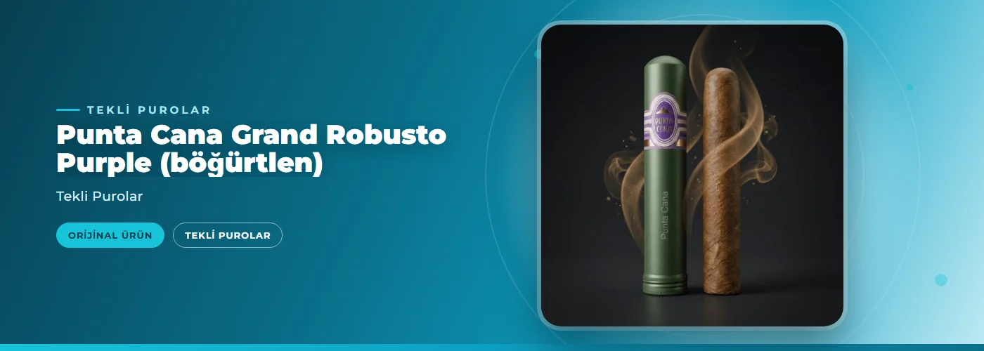 Punta Cana Grand Robusto Purple (böğürtlen)