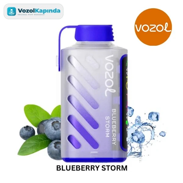 Vozol Gear Power 20000 Blueberry Storm